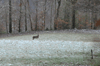 dsc_0008.jpg