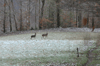 dsc_0010.jpg