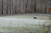 dsc_0014.jpg