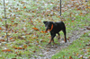 dsc_0015.jpg