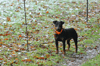 dsc_0016.jpg