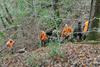dsc_0020.jpg