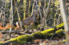 dsc_0025.jpg