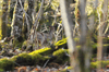 dsc_0026.jpg