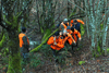 dsc_0018.jpg