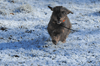 dsc_0031.jpg