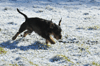 dsc_0032.jpg