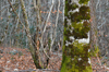 dsc_0034.jpg