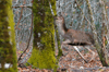 dsc_0035.jpg