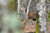 dsc_0036.jpg