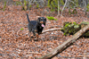 dsc_0038.jpg