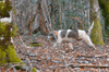 dsc_0039.jpg