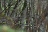 dsc_0017.jpg
