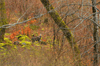 dsc_0019.jpg