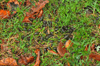 dsc_0020.jpg