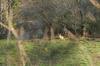 dsc_0023.jpg