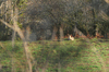 dsc_0024.jpg