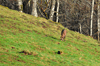 dsc_0025.jpg