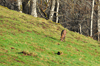 dsc_0026.jpg