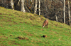dsc_0027.jpg