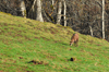 dsc_0028.jpg