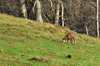 dsc_0029.jpg
