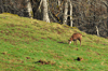 dsc_0031.jpg