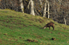 dsc_0033.jpg