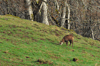 dsc_0035.jpg