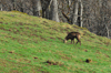 dsc_0037.jpg