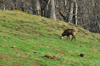 dsc_0038.jpg
