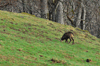 dsc_0039.jpg