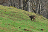 dsc_0040.jpg