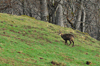 dsc_0041.jpg