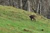 dsc_0044.jpg