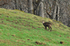 dsc_0045.jpg