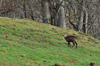 dsc_0047.jpg