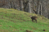 dsc_0048.jpg