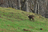 dsc_0049.jpg