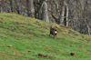 dsc_0051.jpg