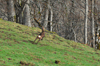dsc_0052.jpg
