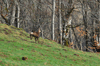 dsc_0054.jpg