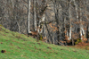 dsc_0055.jpg