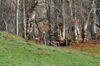 dsc_0056.jpg