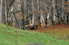 dsc_0057.jpg