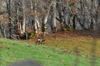 dsc_0059.jpg