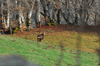 dsc_0060.jpg