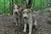 dsc_0016.jpg