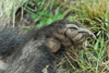 dsc_0041.jpg