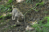 dsc_0005.jpg